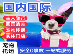 无锡航空托运国际宠物托运 【国